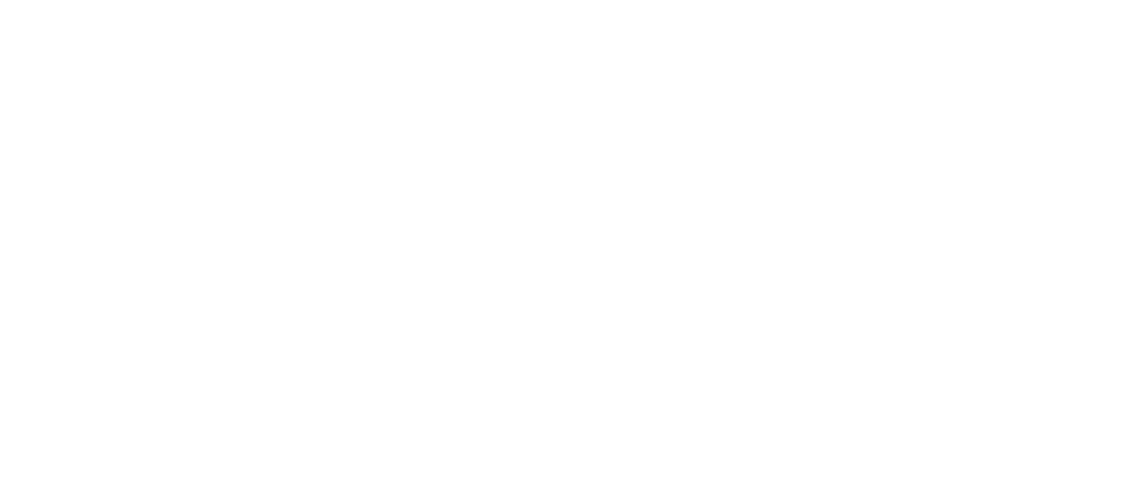 Houston to Galveston Shuttle Co.